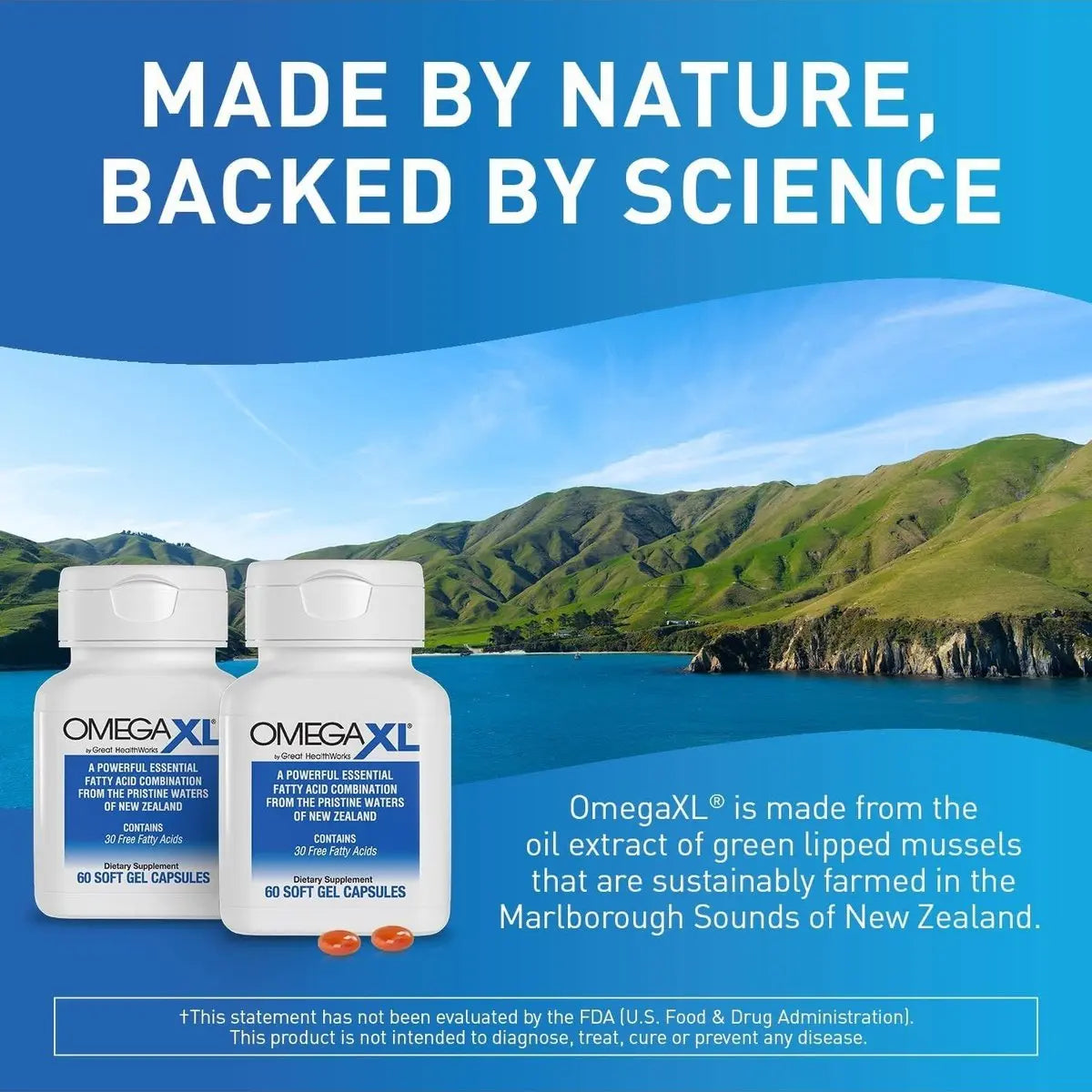 OmegaXL Joint Support Supplement - Natural Muscle Support, Green Lipped Mussel Oil, 120 Count ( 2 x 60 counts)